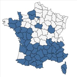 Répartition de Rhamnus alaternus L. en France