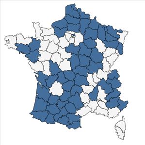 Répartition de Rhinanthus angustifolius C.C.Gmel. en France