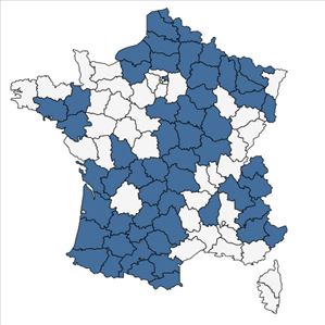 Répartition de Rhinanthus angustifolius C.C.Gmel. en France