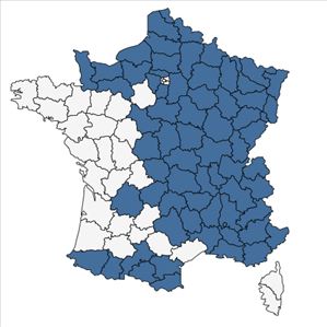 Répartition de Dactylorhiza majalis (Rchb.) P.F.Hunt & Summerh. en France