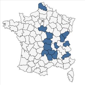 Répartition de Rosa sherardii Davies en France