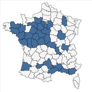 Répartition de Damasonium alisma Mill. en France