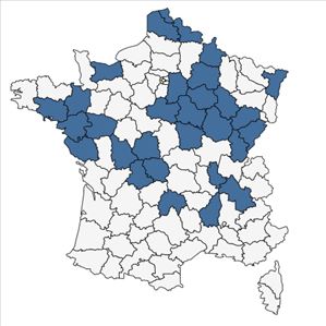 Répartition de Rubus vestitus Weihe en France