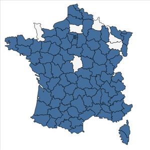 Répartition de Delphinium ajacis L. en France