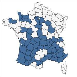 Répartition de Salix babylonica L. en France