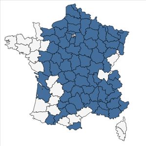 Répartition de Delphinium consolida L. en France