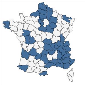 Répartition de Descurainia sophia (L.) Webb ex Prantl en France