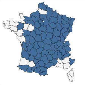 Répartition de Dianthus carthusianorum L. en France