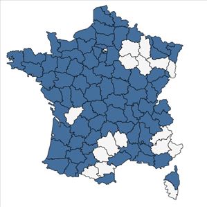 Répartition de Digitaria ischaemum (Schreb.) Mühl. en France