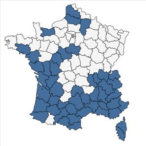 Répartition de Scirpoides holoschoenus (L.) Soják en France