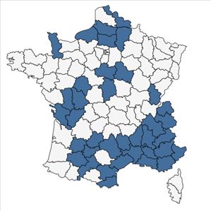 Répartition de Scorzonera hispanica L. en France