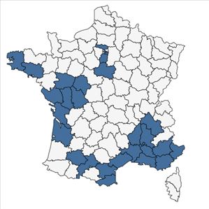 Répartition de Diplotaxis viminea (L.) DC. en France