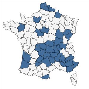 Répartition de Secale cereale L. en France