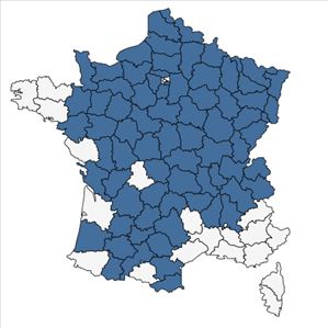 Répartition de Dipsacus pilosus L. en France