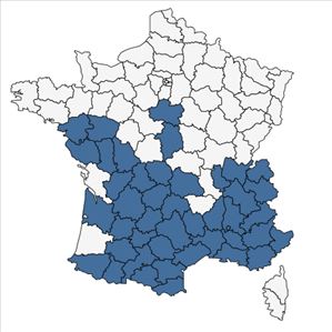 Répartition de Sedum sediforme (Jacq.) Pau en France