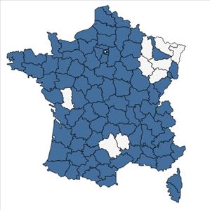 Répartition de Dittrichia graveolens (L.) Greuter en France