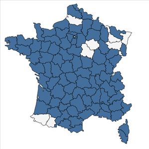 Répartition de Draba muralis L. en France
