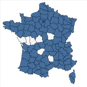 Répartition de Sinapis alba L. en France
