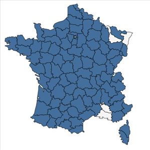 Répartition de Dryopteris affinis (Lowe) Fraser-Jenk. en France