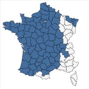 Répartition de Aira praecox L. en France