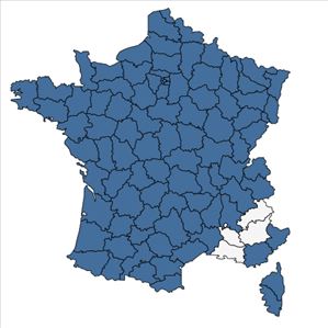 Répartition de Dryopteris carthusiana (Vill.) H.P.Fuchs en France