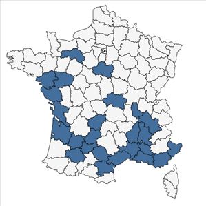 Répartition de Sternbergia lutea (L.) Ker Gawl. ex Spreng. en France