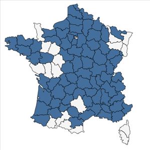 Répartition de Symphyotrichum x salignum (Willd.) G.L.Nesom en France