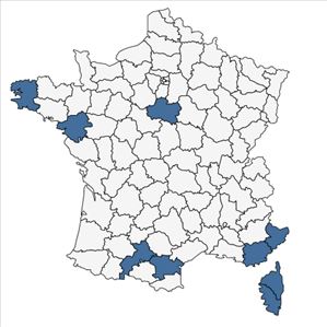 Répartition de Symphytum bulbosum K.F.Schimp. en France