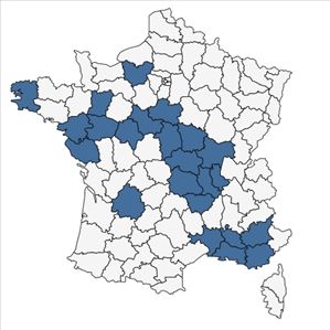 Répartition de Echinochloa muricata (P.Beauv.) Fernald en France