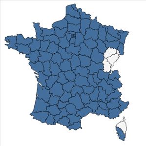 Répartition de Echium vulgare L. en France