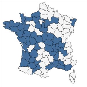 Répartition de Egeria densa Planch. en France