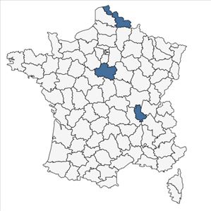 Répartition de Elaeagnus umbellata Thunb. en France