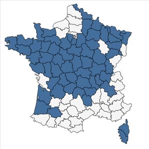 Répartition de Elatine hexandra (Lapierre) DC. en France