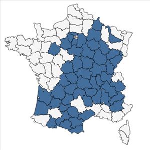 Répartition de Trifolium hybridum L. var. hybridum en France