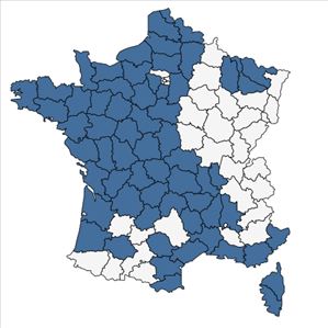 Répartition de Trifolium micranthum Viv. en France