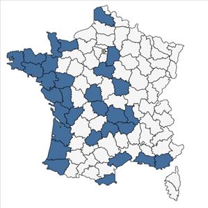 Répartition de Trifolium ornithopodioides L. en France