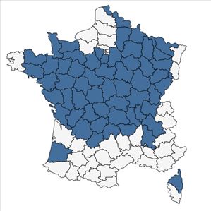 Répartition de Eleocharis ovata (Roth) Roem. & Schult. en France