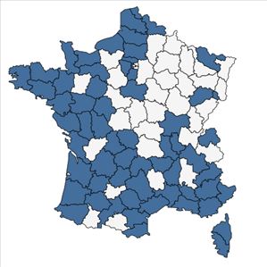 Répartition de Trifolium resupinatum L. en France