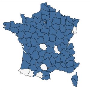 Répartition de Eleocharis uniglumis (Link) Schult. en France