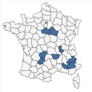 Répartition de Triticum aestivum subsp. spelta (L.) Thell. en France