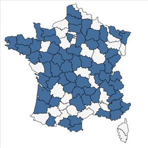 Répartition de Utricularia minor L. en France