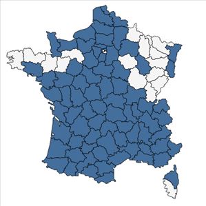 Répartition de Elytrigia campestris (Godr. & Gren.) Kerguélen ex Carreras en France