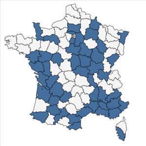 Répartition de Veronica anagalloides Guss. en France