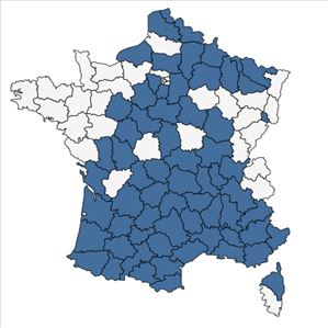 Répartition de Ervum gracile (Lois.) DC. en France