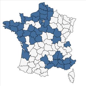 Répartition de Vulpia membranacea (L.) Dumort. en France