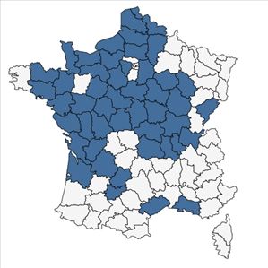 Répartition de Wolffia arrhiza (L.) Horkel ex Wimm. en France