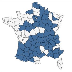 Répartition de Zea mays L. en France