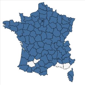 Répartition de Allium ursinum L. en France