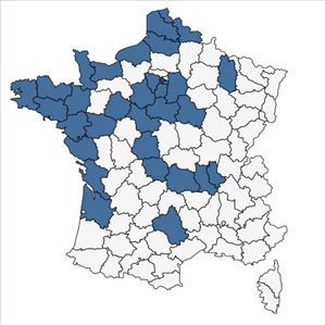 Répartition de Claytonia perfoliata Donn ex Willd. en France