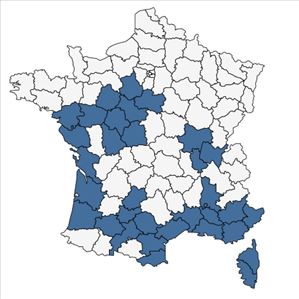 Répartition de Ecballium elaterium (L.) A.Rich. en France